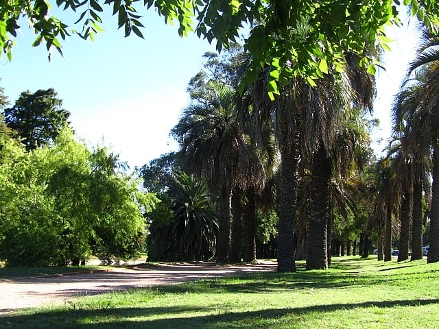 В парке Монтевидео